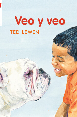 Cover of Veo y veo