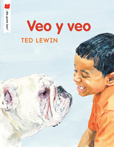 Book cover for Veo y veo