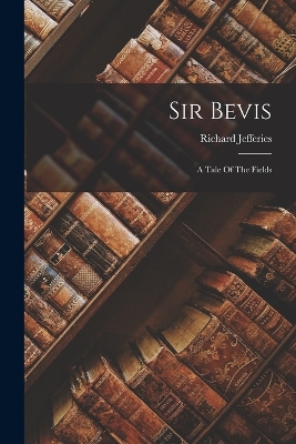 Book cover for Sir Bevis