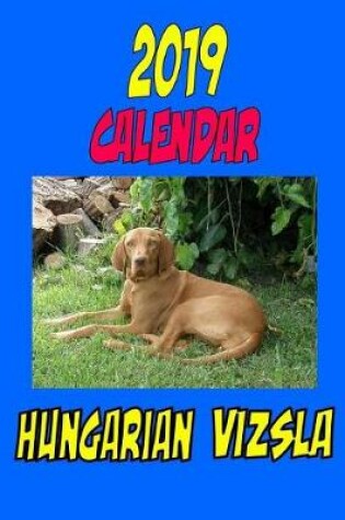 Cover of 2019 Calendar Hungarian Vizsla