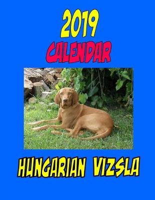 Book cover for 2019 Calendar Hungarian Vizsla
