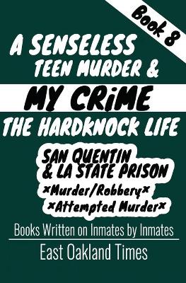 Book cover for A Senseless Teen Murder
