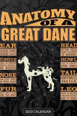 Book cover for Anatomy Of A Great Dane