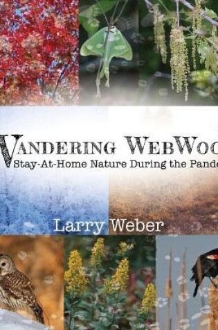 Cover of Wandering Webwood