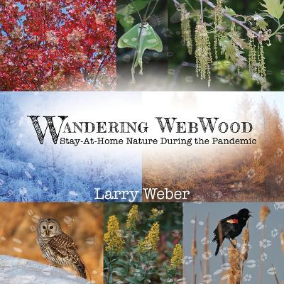 Book cover for Wandering Webwood