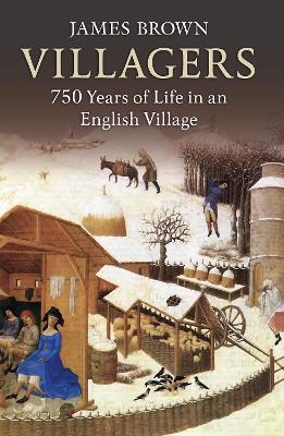 Book cover for Villagers