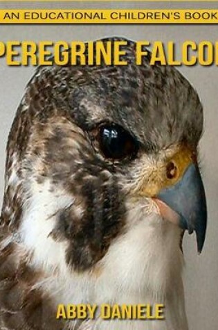 Cover of Peregrine Falcon! An Educational Children's Book about Peregrine Falcon with Fun Facts & Photos