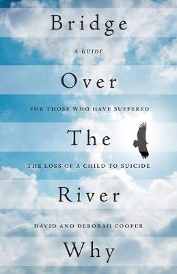 Book cover for Bridge Over The River Why