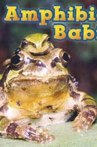 Cover of Amphibian Babies