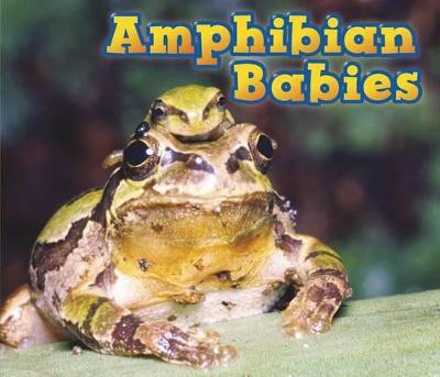 Book cover for Amphibian Babies