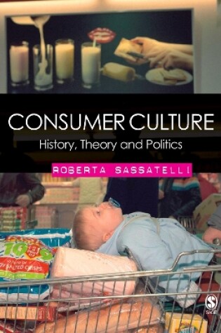 Cover of Consumer Culture