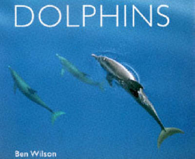 Cover of Dolphins