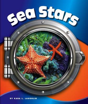 Book cover for Sea Stars