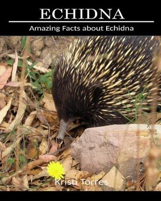 Book cover for Amazing Facts about Echidna