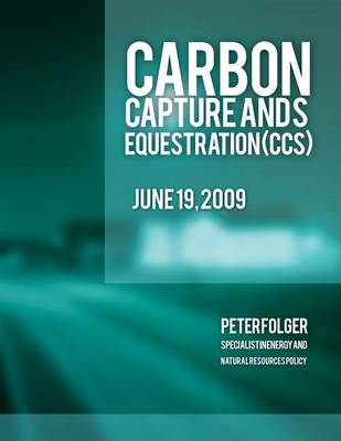 Book cover for Carbon Capture and Sequestration (CCS)