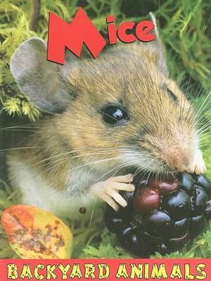 Book cover for Mice