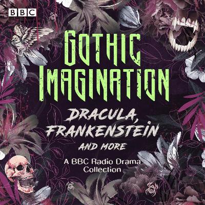Book cover for Gothic Imagination: Dracula, Frankenstein & more