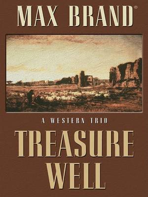Book cover for Treasure Well