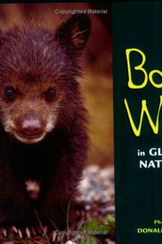 Cover of Born Wild in Glacier National Park