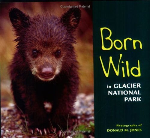 Book cover for Born Wild in Glacier National Park