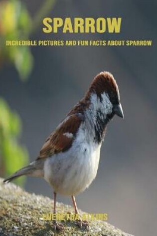 Cover of Sparrow