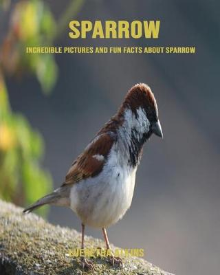 Book cover for Sparrow