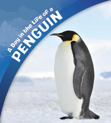 Cover of A Day in the Life of a Penguin