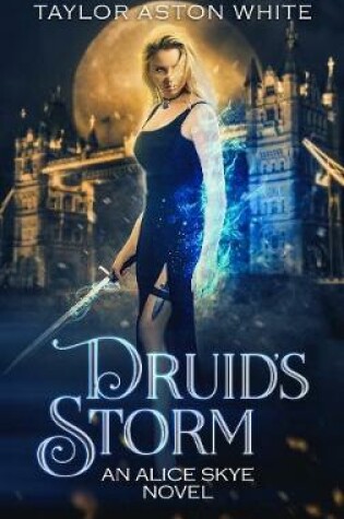 Cover of Druid's Storm