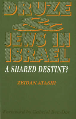 Book cover for Druze and Jews in Israel