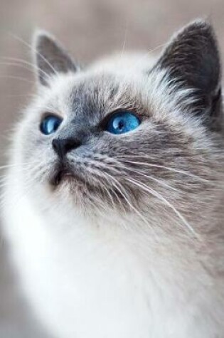 Cover of Blue Eyed Siamese Cat