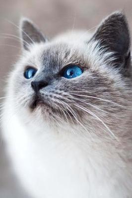 Book cover for Blue Eyed Siamese Cat