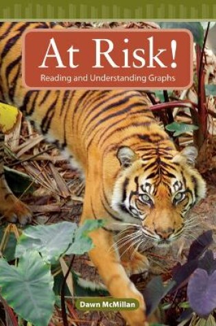 Cover of At Risk!