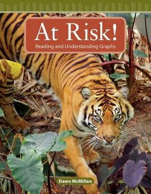 Cover of At Risk!