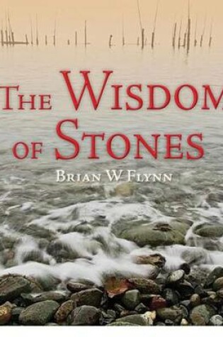 Cover of The Wisdom of Stones