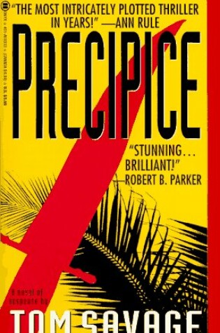 Cover of Precipice