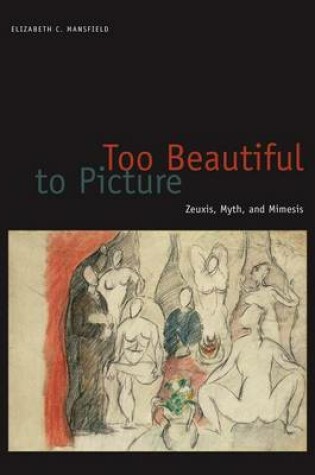 Cover of Too Beautiful to Picture: Zeuxis, Myth, and Mimesis