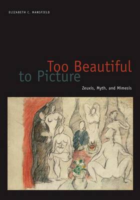 Book cover for Too Beautiful to Picture: Zeuxis, Myth, and Mimesis