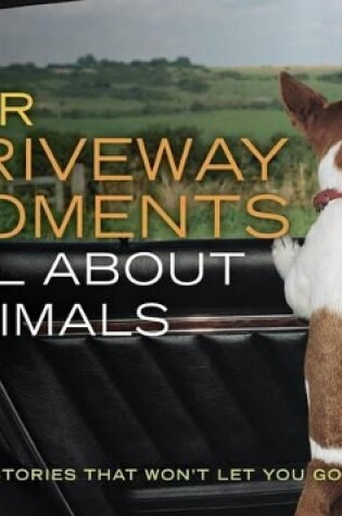 Cover of NPR Driveway Moments All about Animals