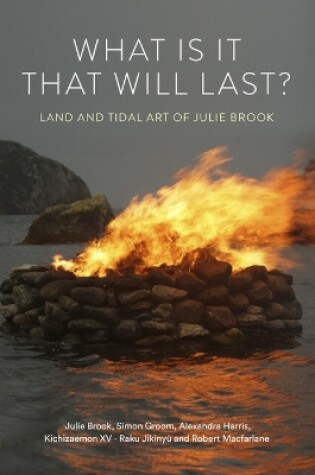 Cover of What is it that will last?