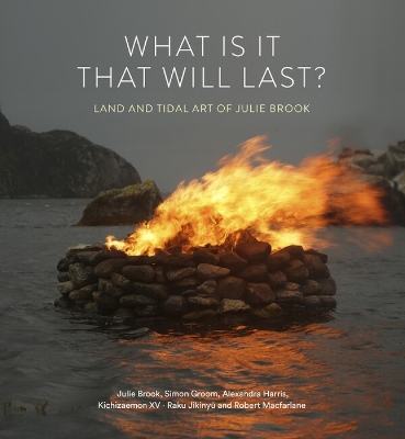 Book cover for What is it that will last?