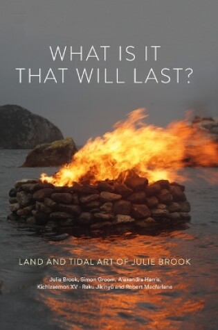 Cover of What is it that will last?