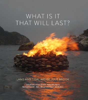Book cover for What is it that will last?