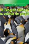 Book cover for A Penguin Colony / Una Colonia de Pingüinos