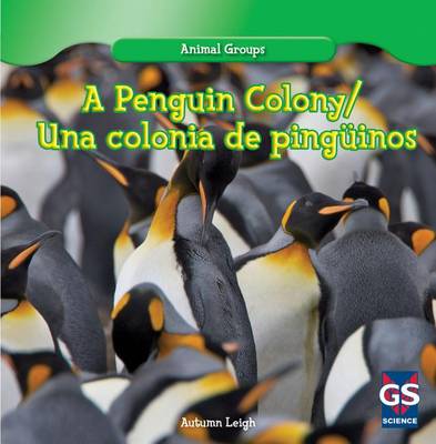 Cover of A Penguin Colony / Una Colonia de Pingüinos