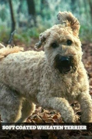 Cover of Soft Coated Wheaten Terrier