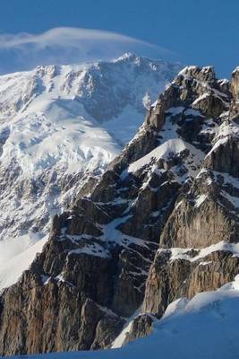 Book cover for Website Password Organizer Exposed Rock on MT McKinley in Alaska