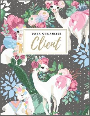 Cover of Client Data Organizer