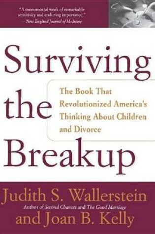 Cover of Surviving The Breakup