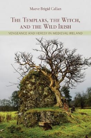 Cover of The Templars, the Witch, and the Wild Irish