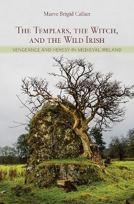 Book cover for The Templars, the Witch, and the Wild Irish